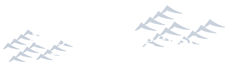 The Sake At Sushi Wagense