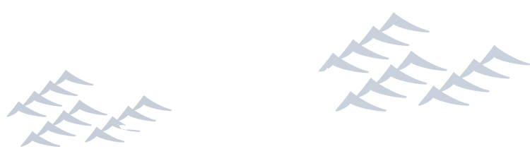 寿司 和颜施的 日本酒