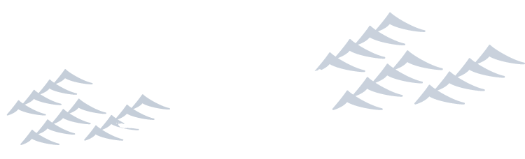 寿しわげんせの 日本酒