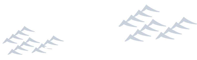 스시 와겐세의 일본주
